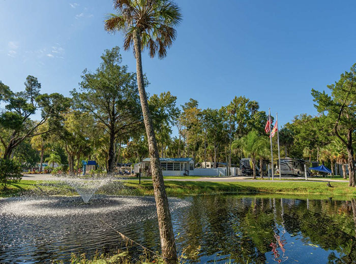 Are Dogs Allowed In Homosassa Springs